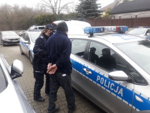 Umundurowana policjantka wprowadza do radiowozu zatrzymanego mężczyznę