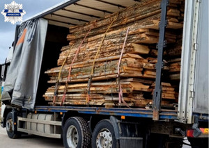 Samochód ciężarowy załadowany 10 tonami drewna