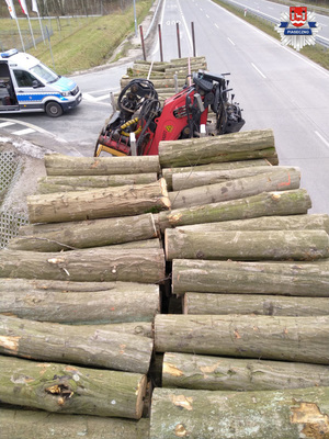 Samochód ciężarowy zatrzymany do kontroli, na przyczepie oraz samochodzie widoczne drzewo, które jest niezabezpieczone
