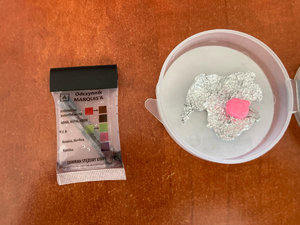 zabezpieczone środki odurzające