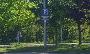 kobieta ukrywająca się za drzewem