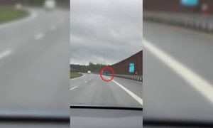 pieszy idący drogą ekspresową S7