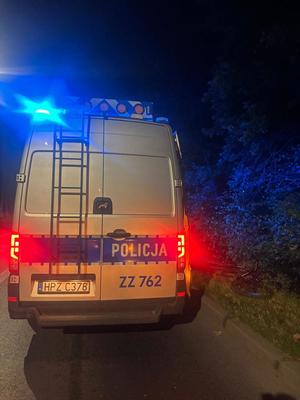 policyjny radiowóz oraz leżący obok na trawie rower