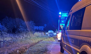 policyjny radiowóz i auto stojące w rowie