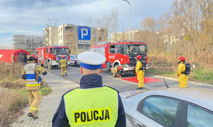 zdjęcia z działań