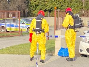 zdjęcia z działań