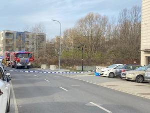 zdjęcia z działań