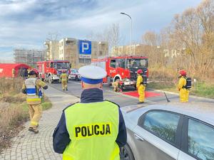 zdjęcia z działań