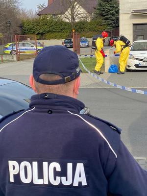 zdjęcia z działań